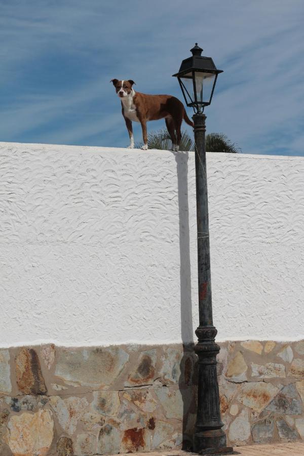 Golf View - Stunning Ocean View Golf Del Sur Apartament